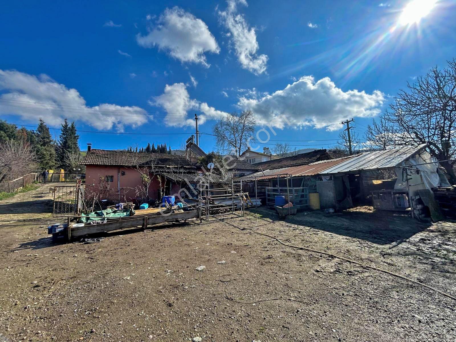 Uzmanlar'dan Altınova Ayazma Köy Evi Ve 1549 M2 Arsası - Görsel 20