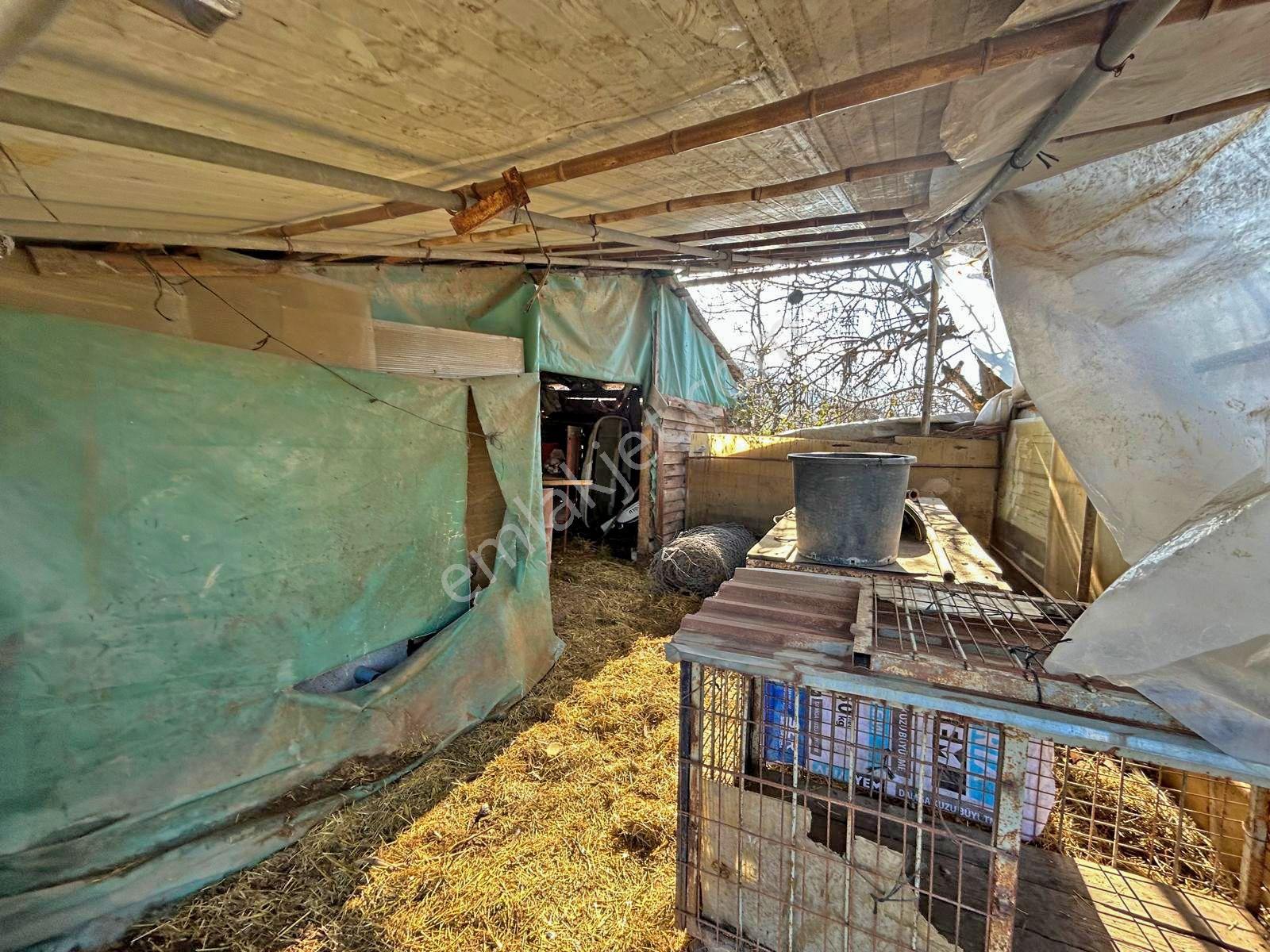 Uzmanlar'dan Altınova Ayazma Köy Evi Ve 1549 M2 Arsası - Görsel 15
