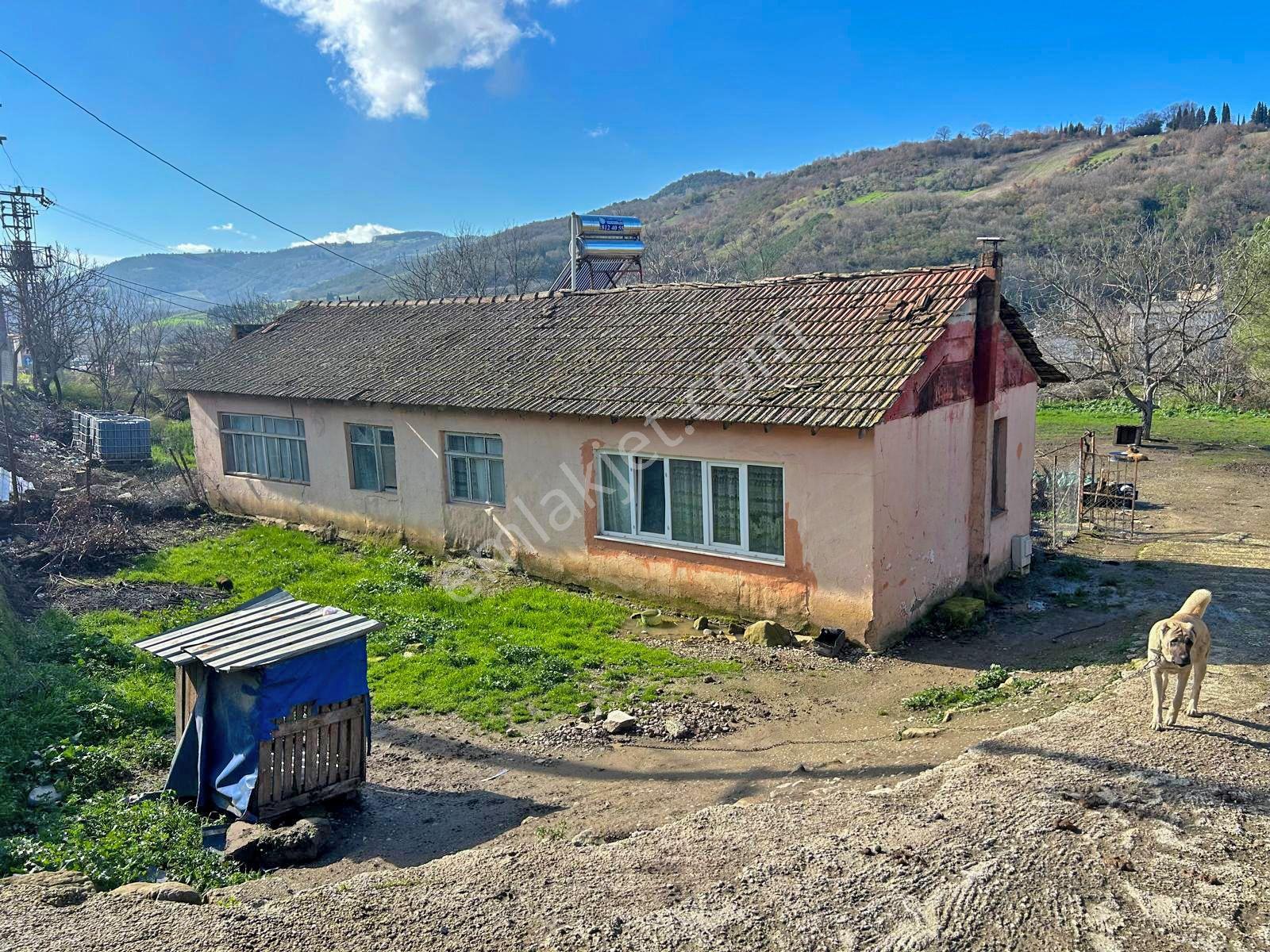 Uzmanlar'dan Altınova Ayazma Köy Evi Ve 1549 M2 Arsası - Görsel 13