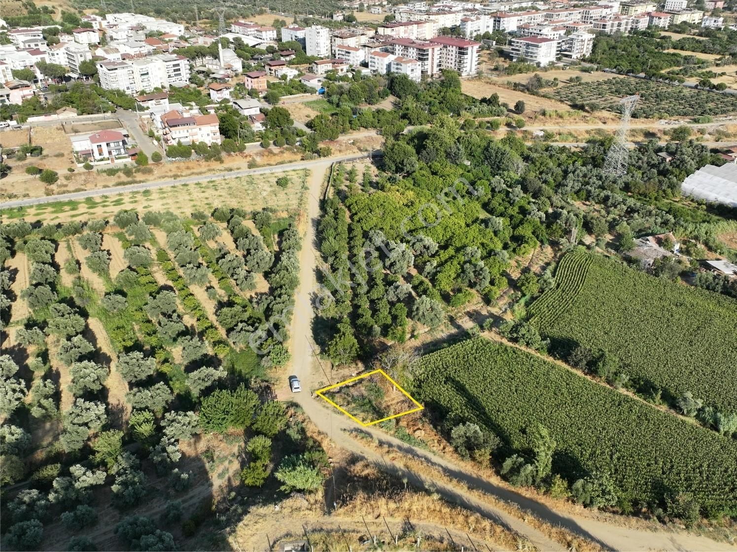 Majestic Manors - İsabeylide Değerli Konumda Satılık 125m2 Bahçe