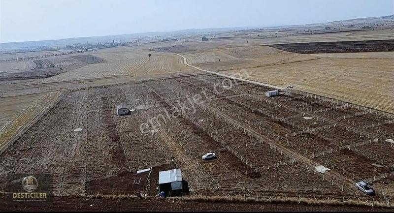 Desticiler'den Kütahya Yolu Üzerinde Hobi Bahçeleri - Görsel 11