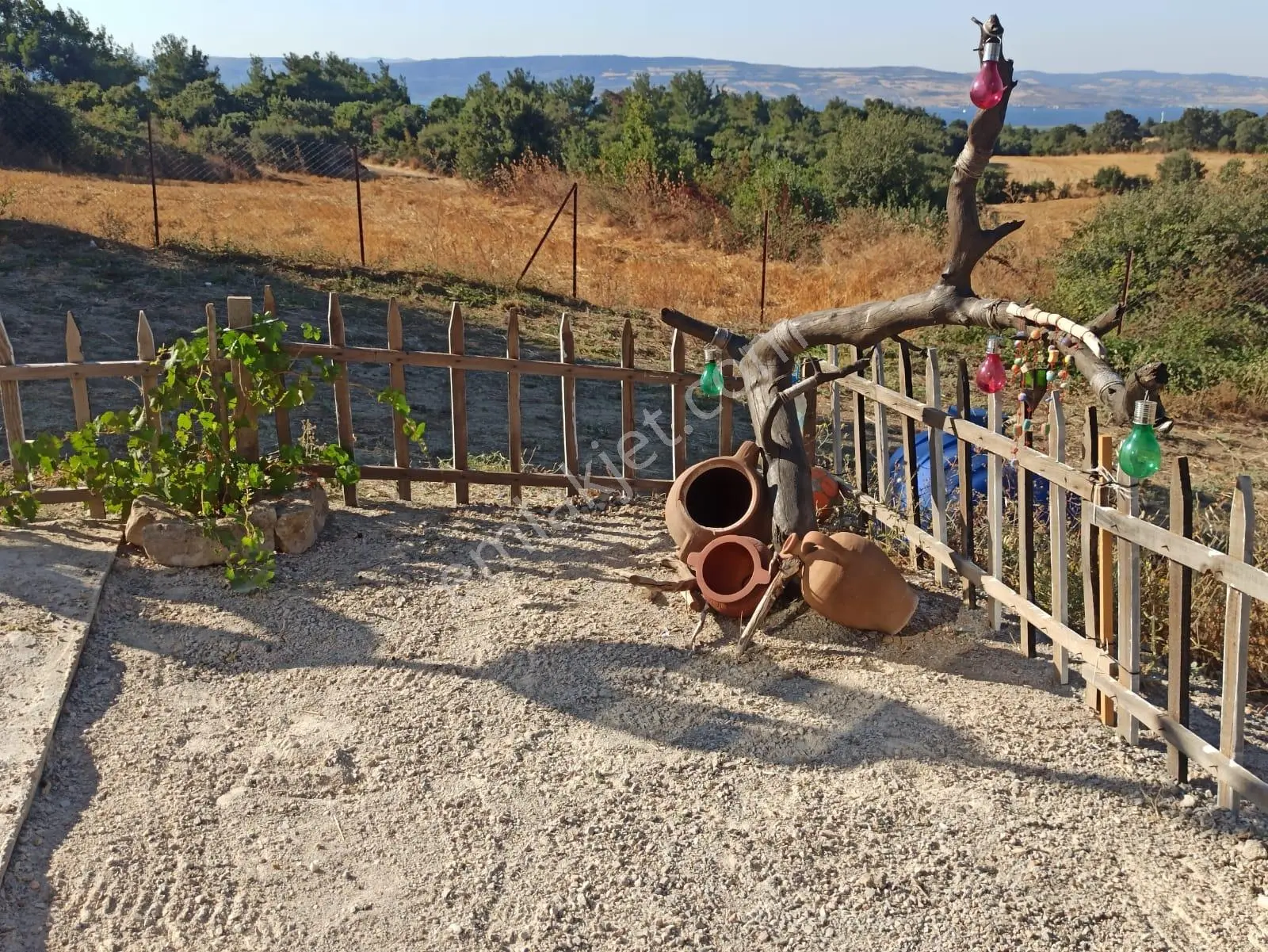 Deniz Manzarlı Tarla Ve Konteyner Lapseki Kangırlı ... - Görsel 16