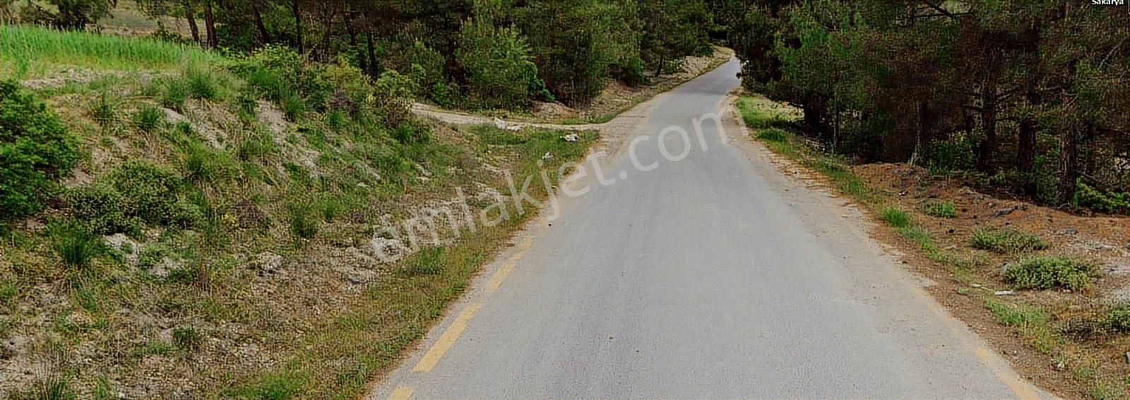 Geyve Sekiharmanda 1.865 M² Satılık Yola Cepheli Tarla - Görsel 8