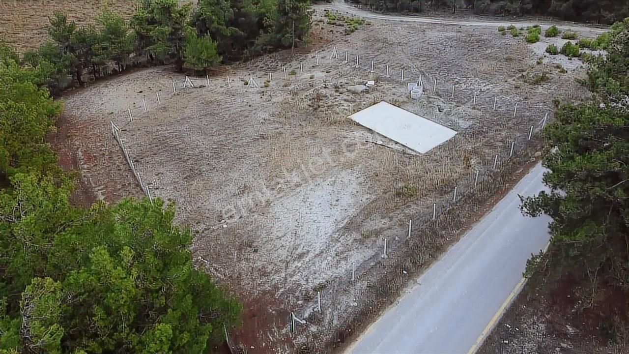 Geyve Sekiharmanda 1.865 M² Satılık Yola Cepheli Tarla - Görsel 24