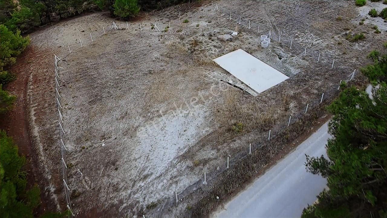 Geyve Sekiharmanda 1.865 M² Satılık Yola Cepheli Tarla - Görsel 23