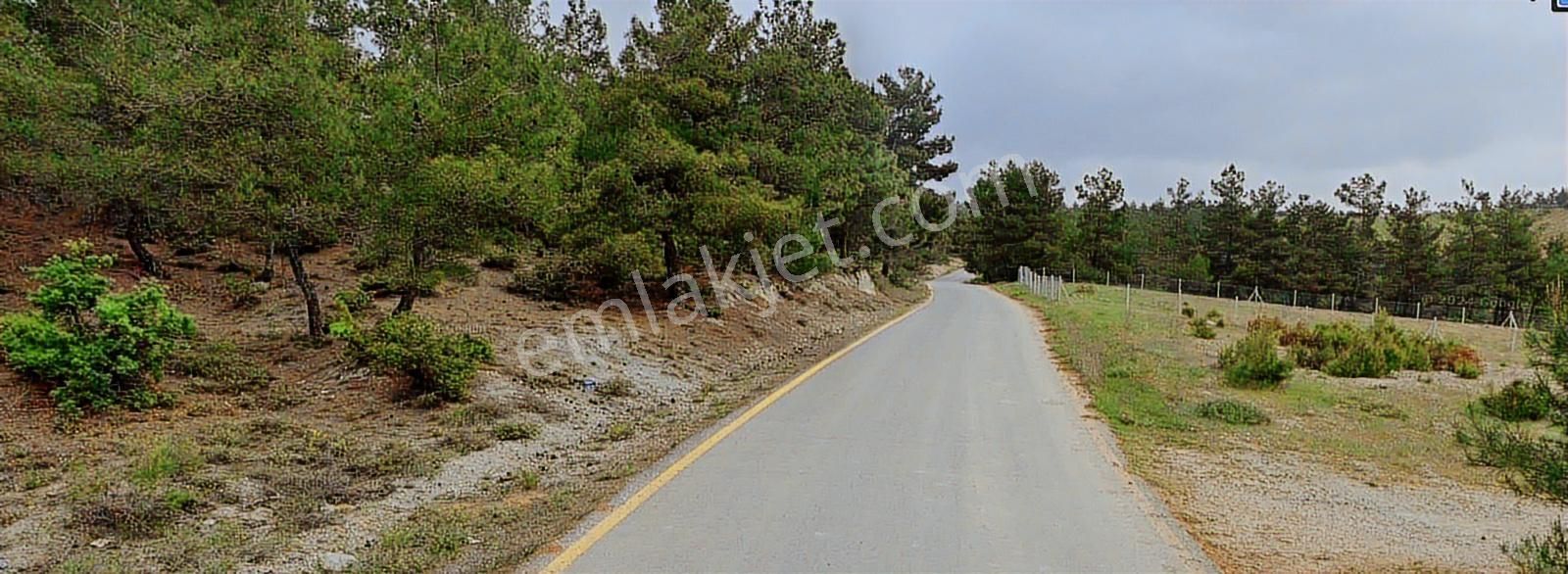 Geyve Sekiharmanda 1.865 M² Satılık Yola Cepheli Tarla - Görsel 18