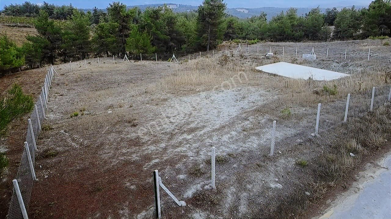 Geyve Sekiharmanda 1.865 M² Satılık Yola Cepheli Tarla - Görsel 14