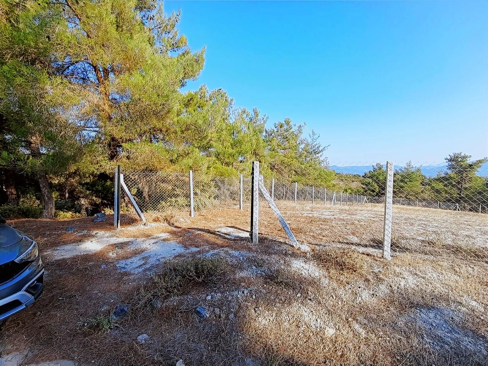 Geyve Sekiharmanda 1.865 M² Satılık Yola Cepheli Tarla - Görsel 9