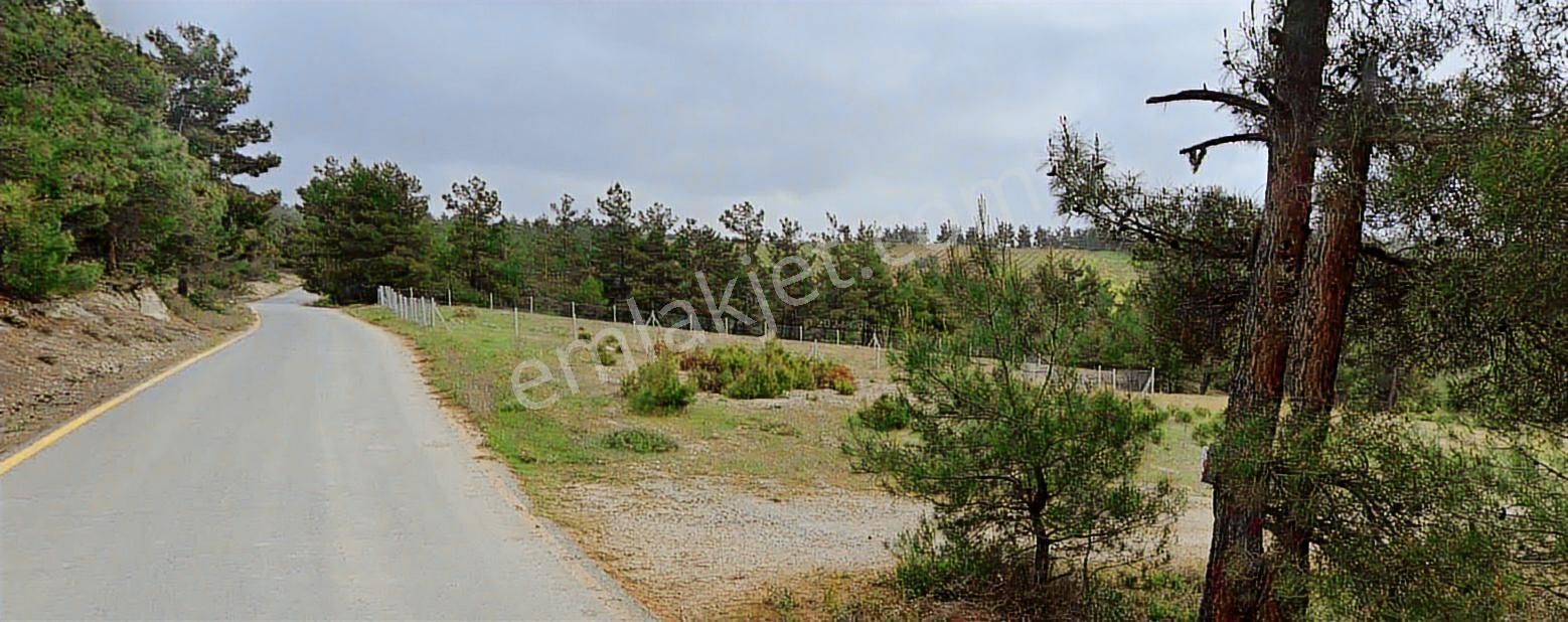 Geyve Sekiharmanda 1.865 M² Satılık Yola Cepheli Tarla - Görsel 7