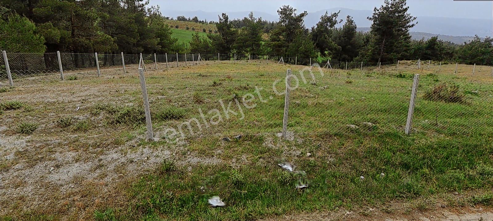 Geyve Sekiharmanda 1.865 M² Satılık Yola Cepheli Tarla - Görsel 2