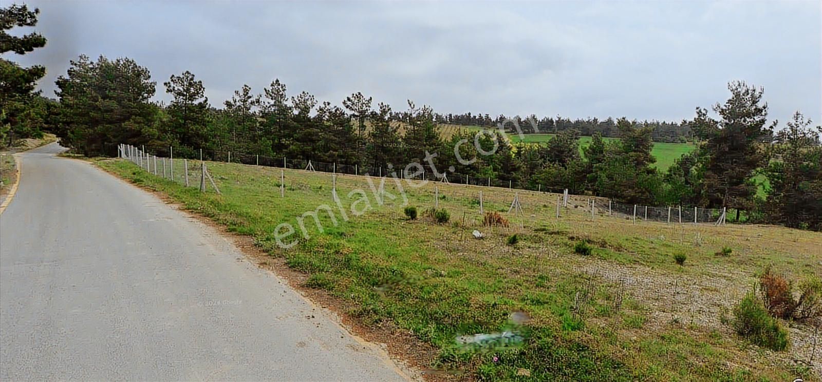 Geyve Sekiharmanda 1.865 M² Satılık Yola Cepheli Tarla - Görsel 22