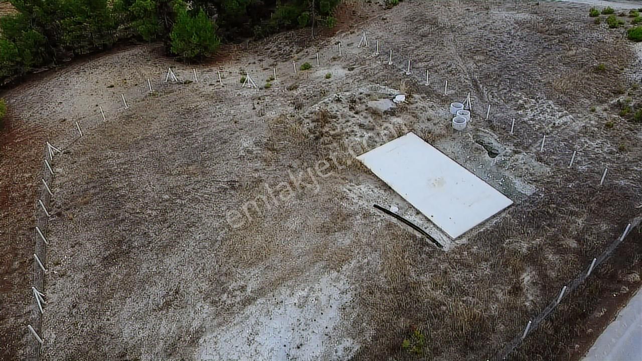 Geyve Sekiharmanda 1.865 M² Satılık Yola Cepheli Tarla - Görsel 5