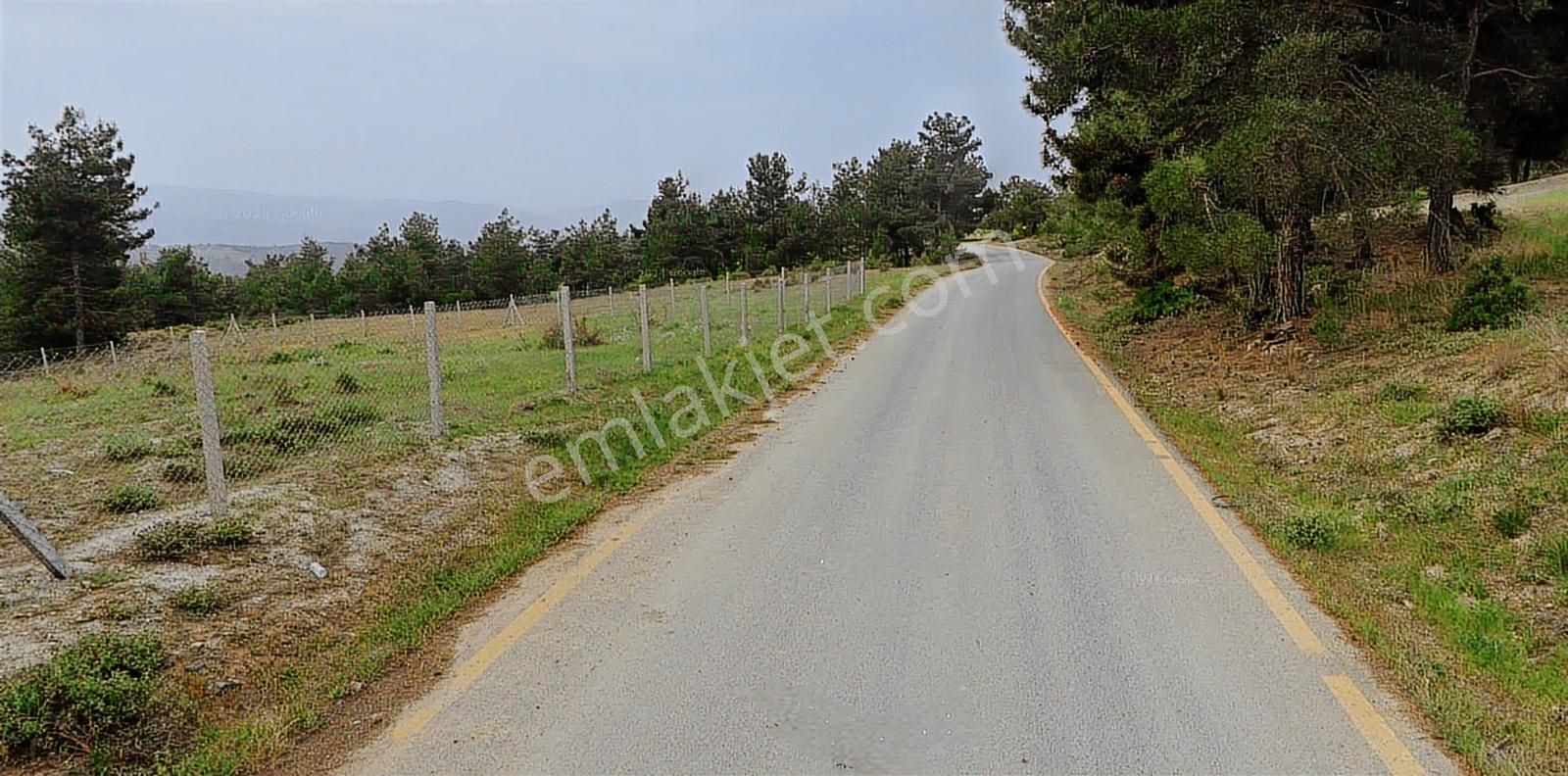 Geyve Sekiharmanda 1.865 M² Satılık Yola Cepheli Tarla - Görsel 16