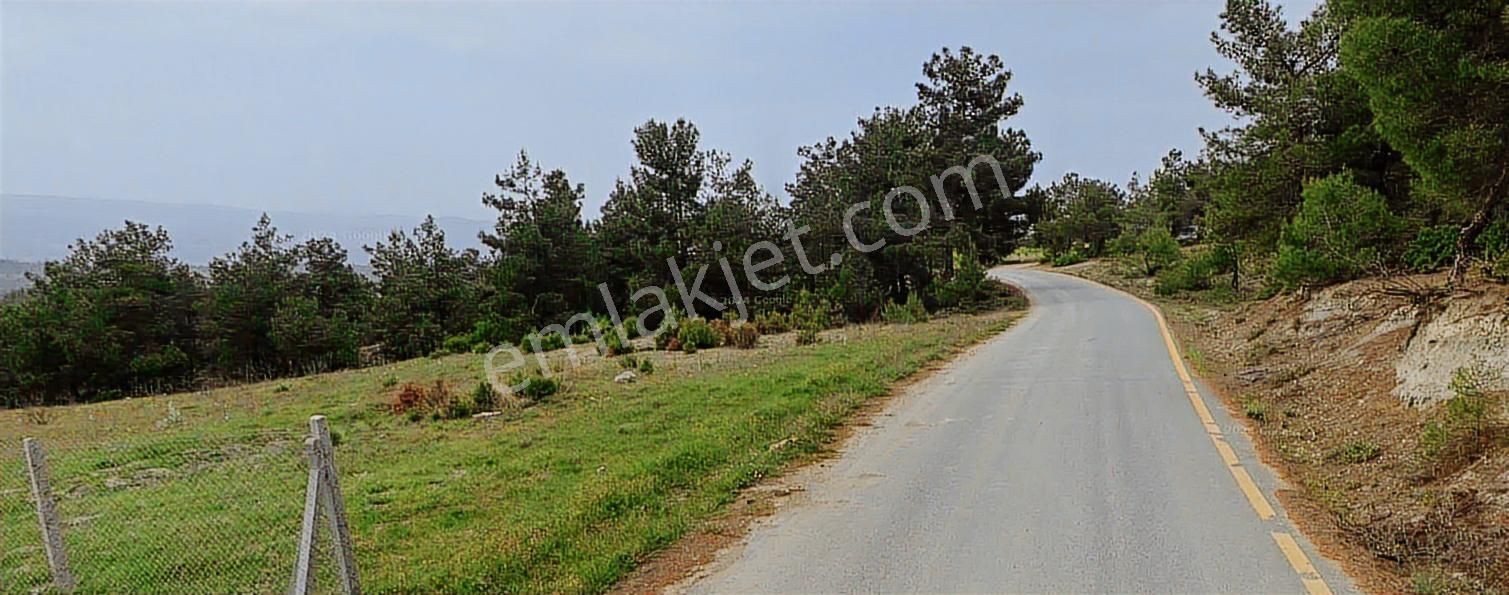 Geyve Sekiharmanda 1.865 M² Satılık Yola Cepheli Tarla - Görsel 25