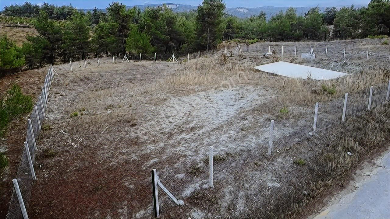 Geyve Sekiharmanda 1.865 M² Satılık Yola Cepheli Tarla - Görsel 15