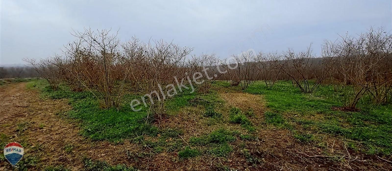 Re/max Mavi Güvencesi Kaynarca Gürpınar Satılık Arazi Yolu Var. - Görsel 14