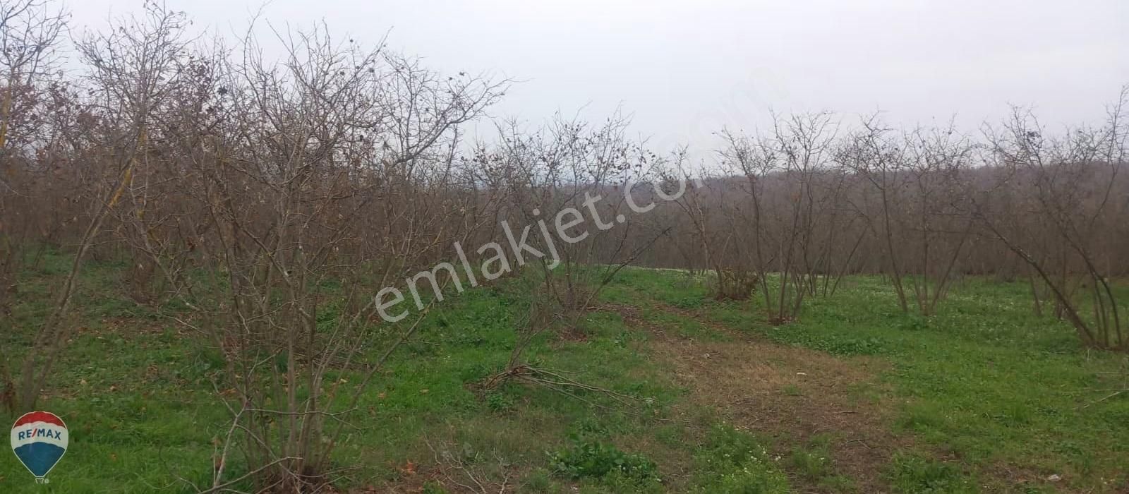 Re/max Mavi Güvencesi Kaynarca Gürpınar Satılık Arazi Yolu Var. - Görsel 26
