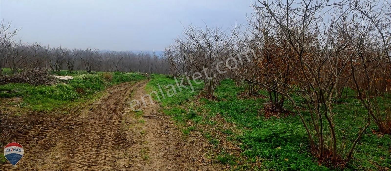 Re/max Mavi Güvencesi Kaynarca Gürpınar Satılık Arazi Yolu Var. - Görsel 11
