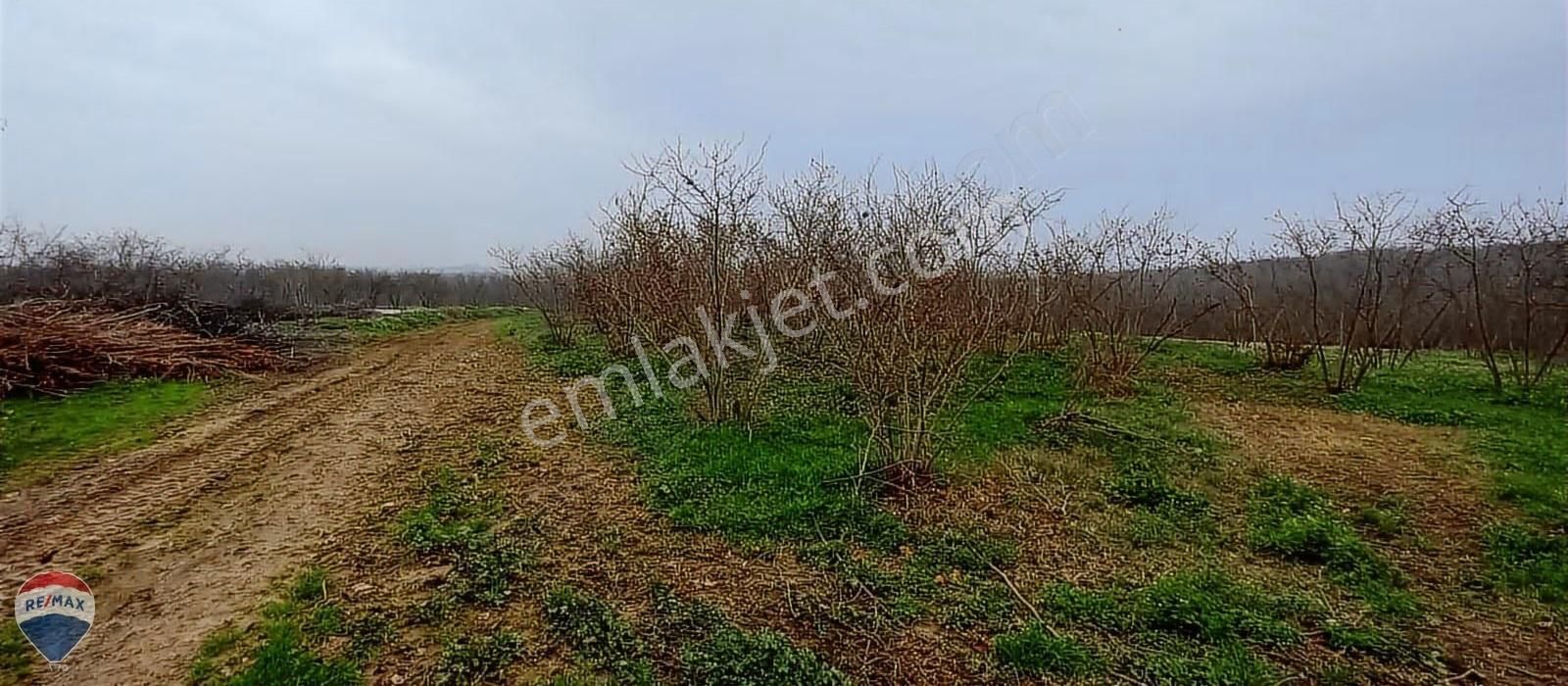 Re/max Mavi Güvencesi Kaynarca Gürpınar Satılık Arazi Yolu Var.