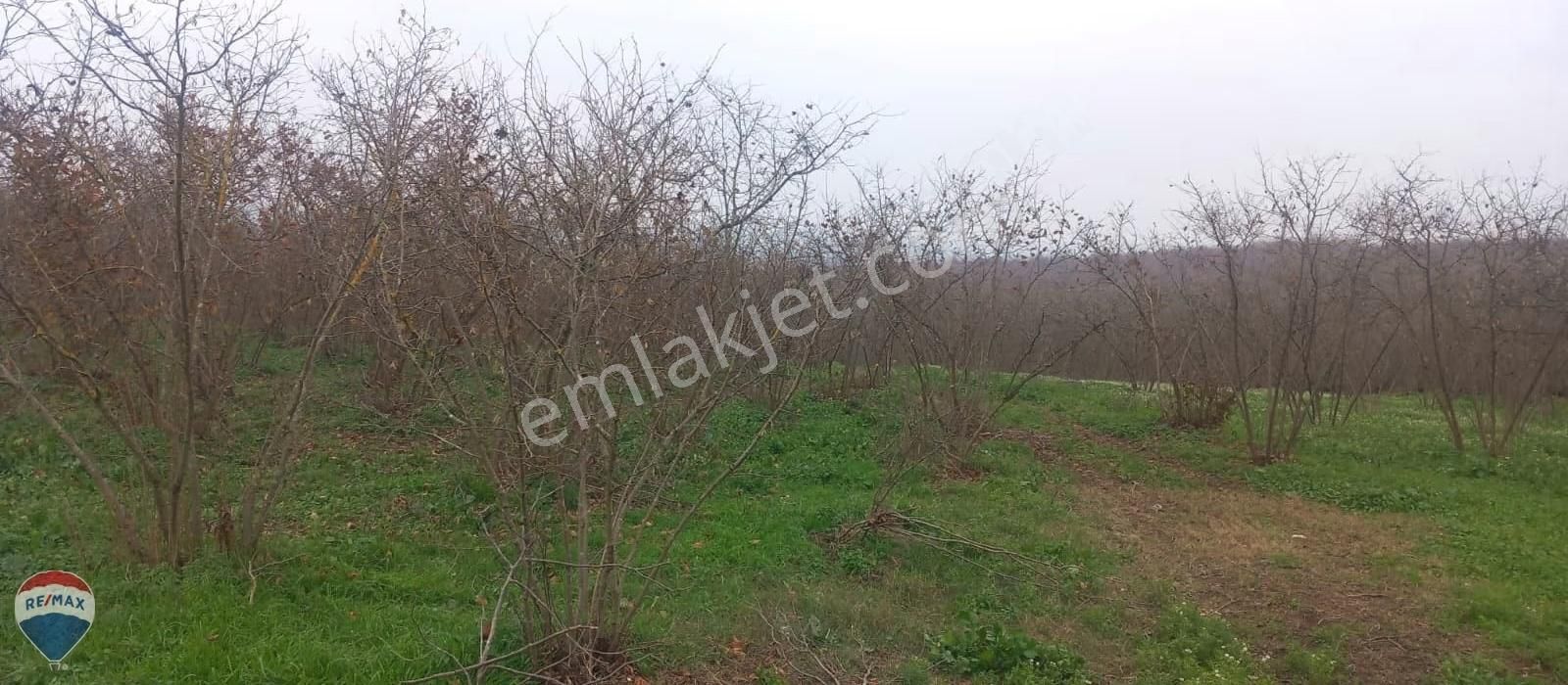 Re/max Mavi Güvencesi Kaynarca Gürpınar Satılık Arazi Yolu Var. - Görsel 23