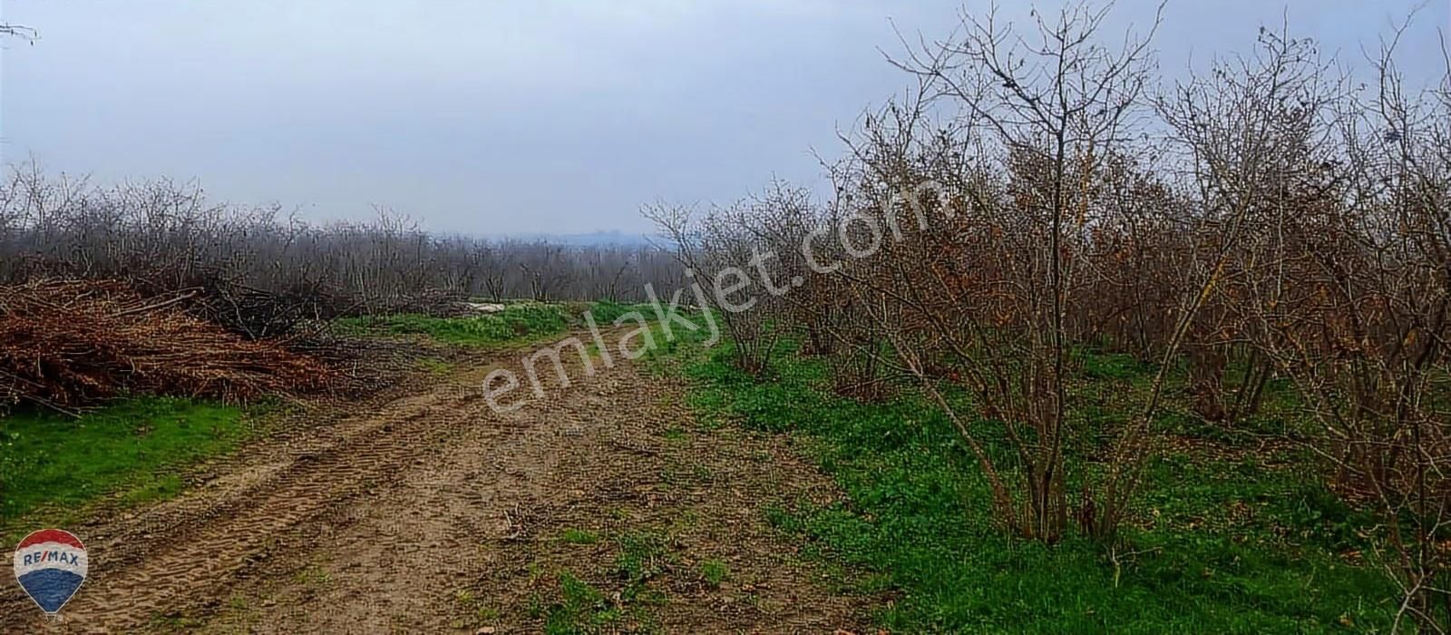 Re/max Mavi Güvencesi Kaynarca Gürpınar Satılık Arazi Yolu Var. - Görsel 13