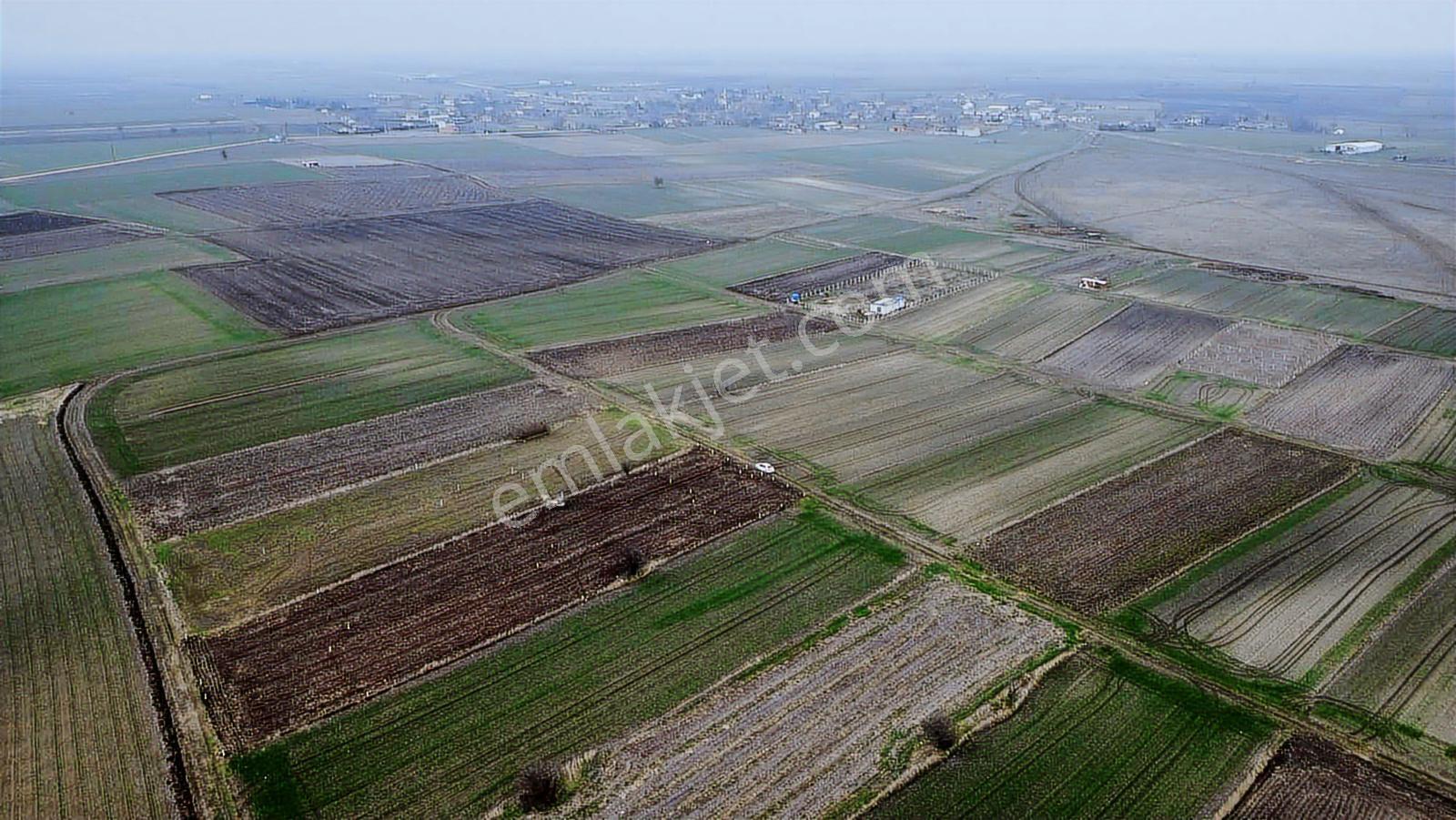 Tekirdağ Saray Kadıköy Bağ Yeri - Görsel 3
