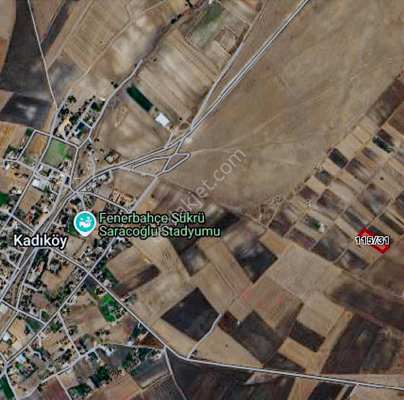 Tekirdağ Saray Kadıköy Bağ Yeri - Görsel 5