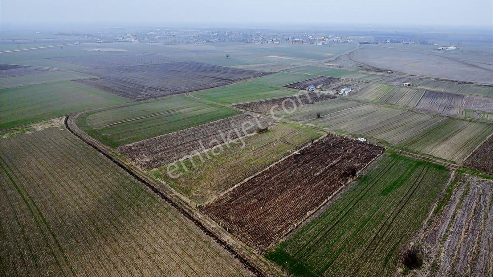 Tekirdağ Saray Kadıköy Bağ Yeri - Görsel 11