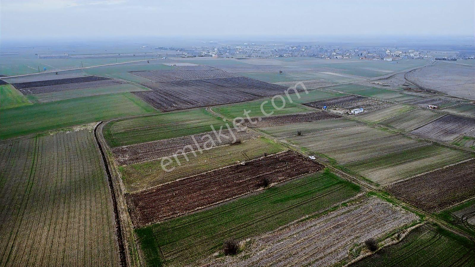 Tekirdağ Saray Kadıköy Bağ Yeri - Görsel 15