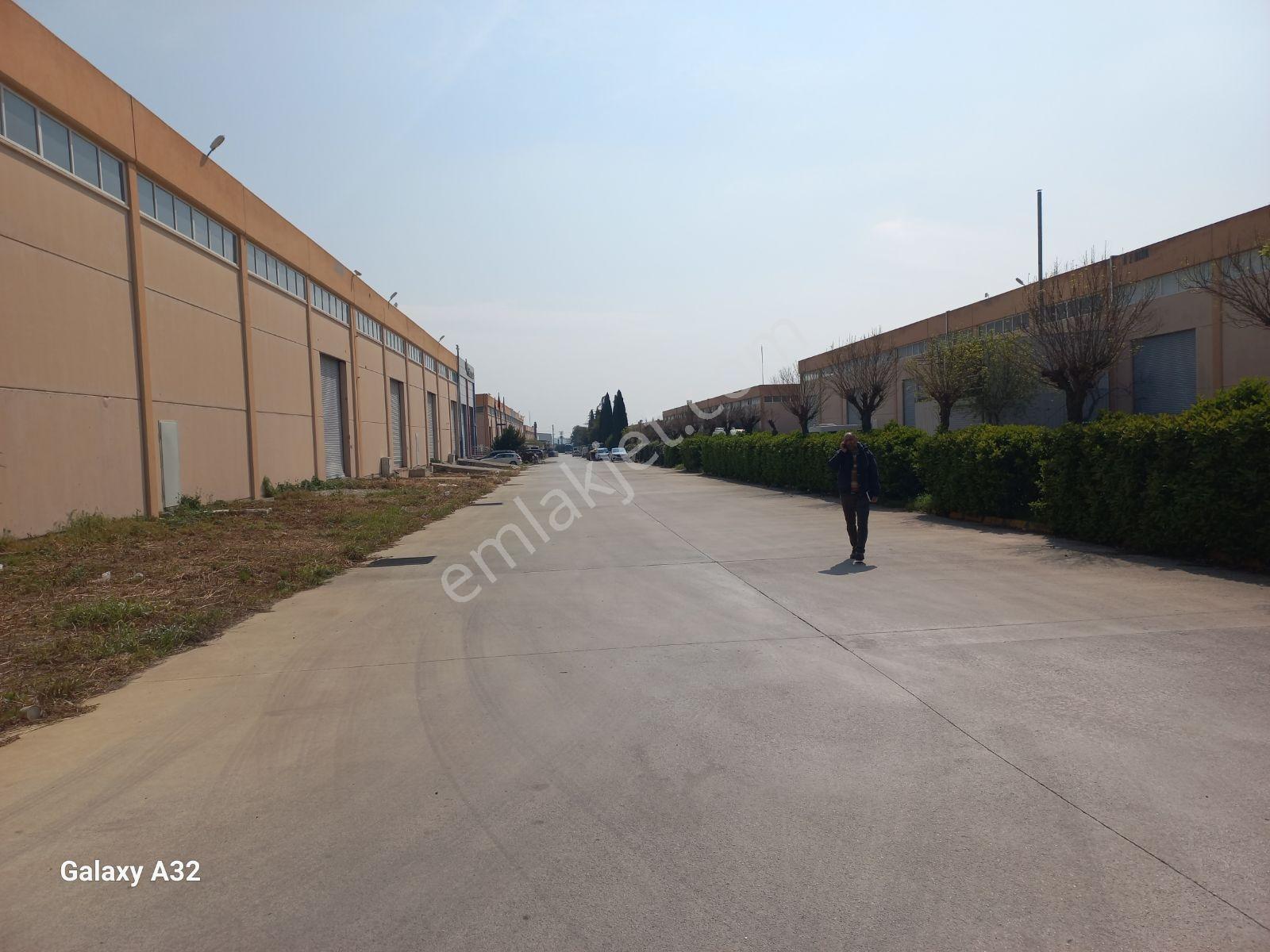 İzmir Torbalı Pancar Çetmen Sanayi 1.000 M2 Kiralık Depo Fabrika - Görsel 14
