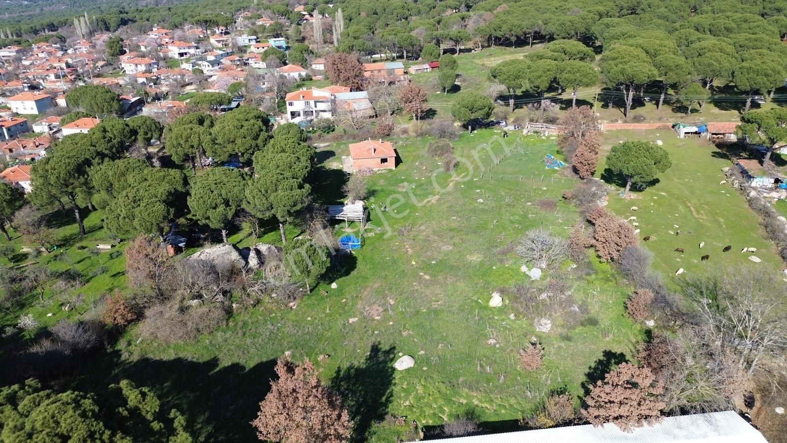 Bergama Kozak Karaveliler'de Satılık 5.900m2 Konut İmarlı Arsa - Görsel 11