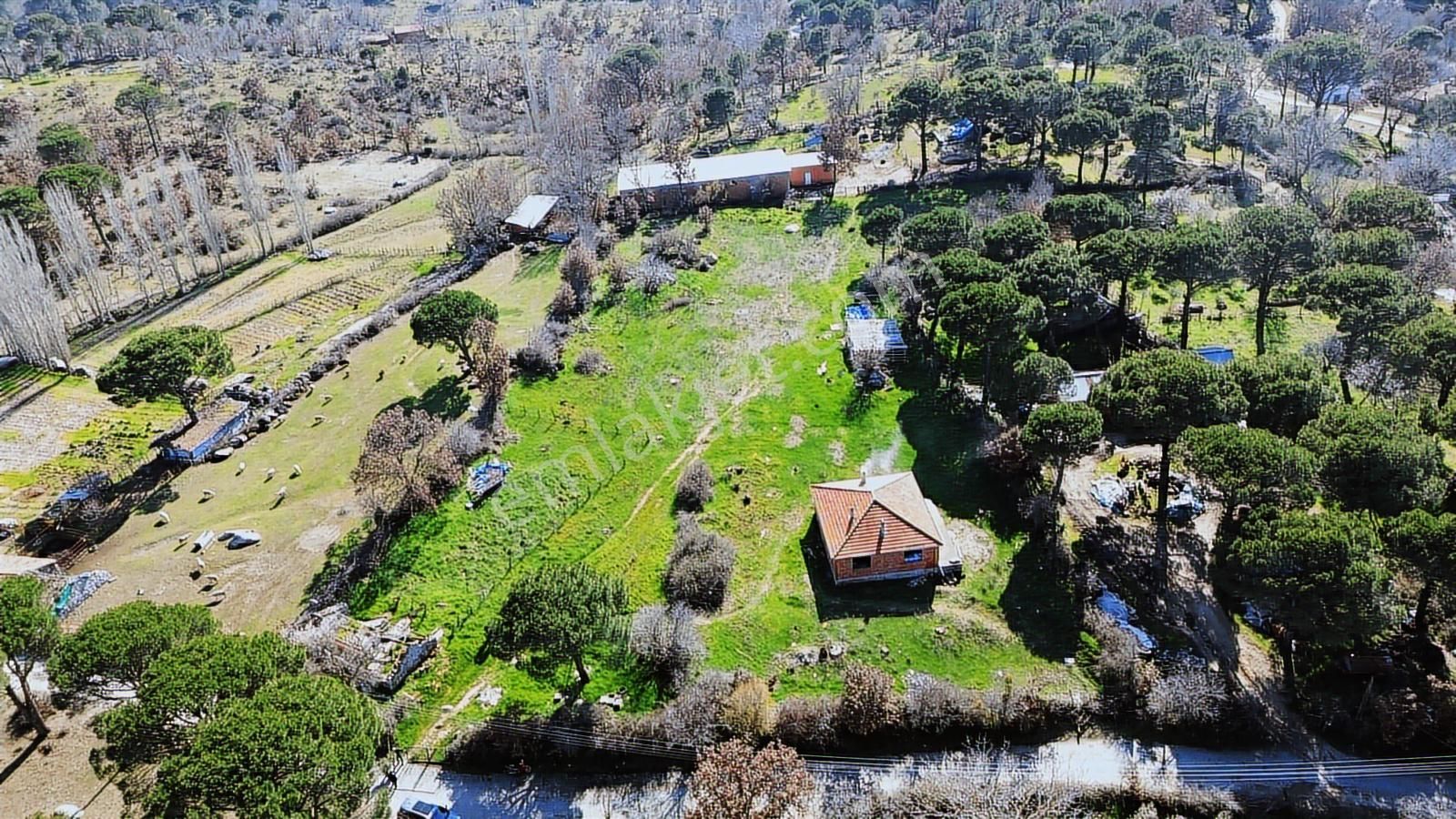 Bergama Kozak Karaveliler'de Satılık 5.900m2 Konut İmarlı Arsa - Görsel 4