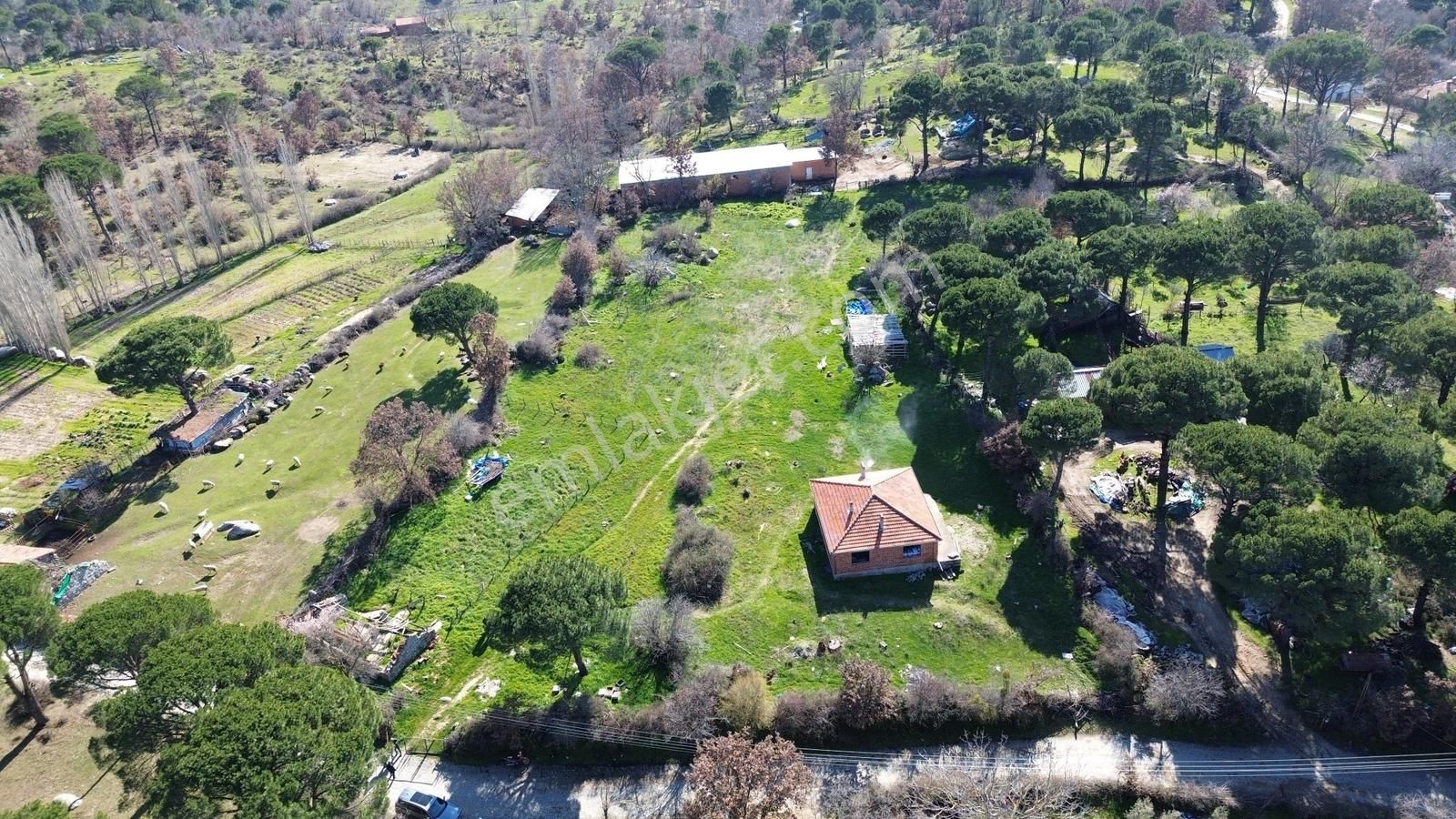 Bergama Kozak Karaveliler'de Satılık 5.900m2 Konut İmarlı Arsa - Görsel 5
