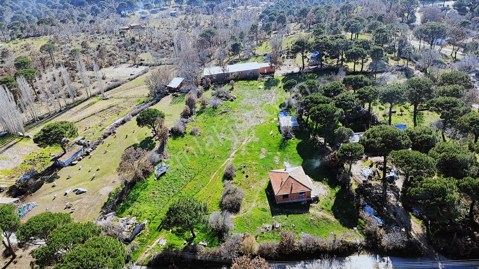 Bergama Kozak Karaveliler'de Satılık 5.900m2 Konut İmarlı Arsa - Görsel 3