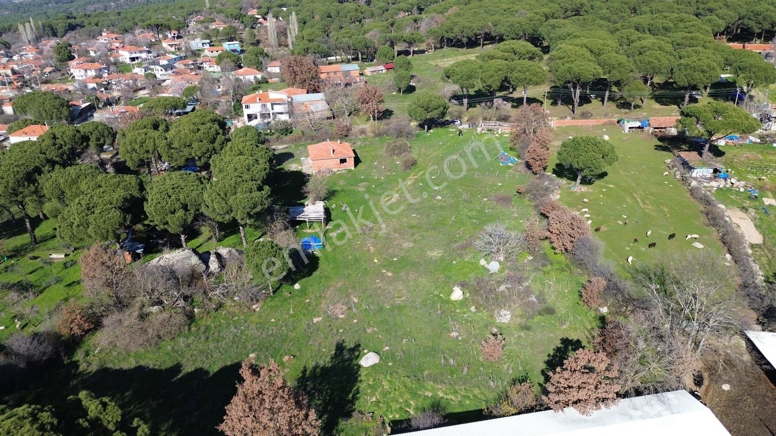 Bergama Kozak Karaveliler'de Satılık 5.900m2 Konut İmarlı Arsa - Görsel 8