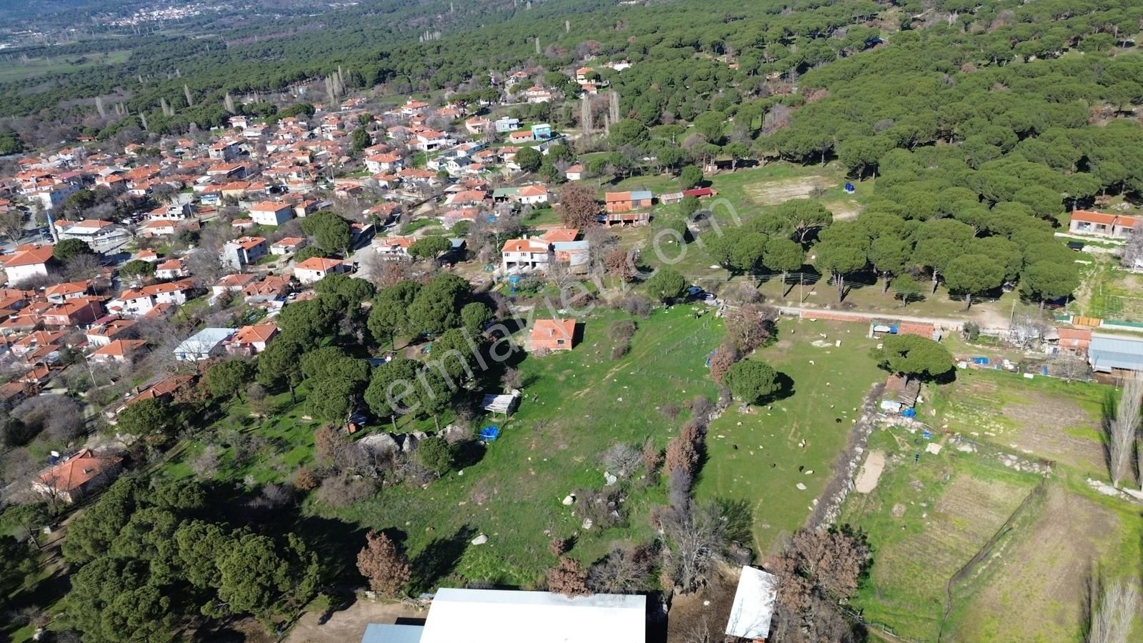 Bergama Kozak Karaveliler'de Satılık 5.900m2 Konut İmarlı Arsa - Görsel 6