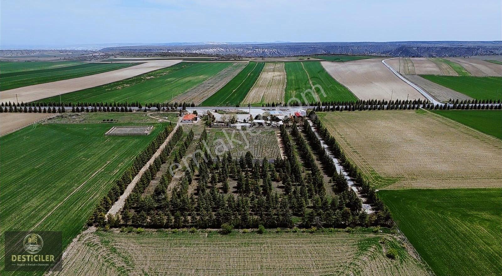 Akpınar'da 72.745m2 Yola Cephe | Ticari Ruhsat Alınabilir - Görsel 5