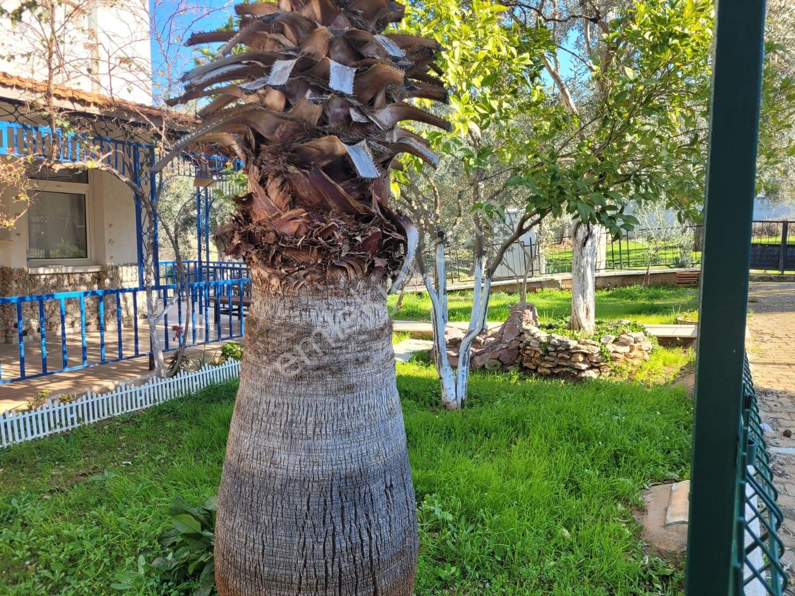 Akbükte 250 Metrekare Arsa İçinde Eşyalı Bahçeli Yazlık - Görsel 5