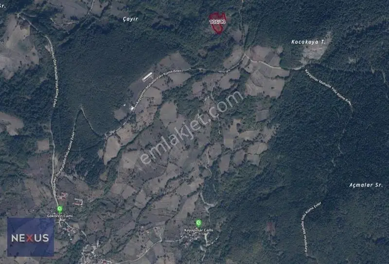 Bolu Mudurubnu Gökören Köyü 4.996,12 M² Satılık Tarla - Görsel 5