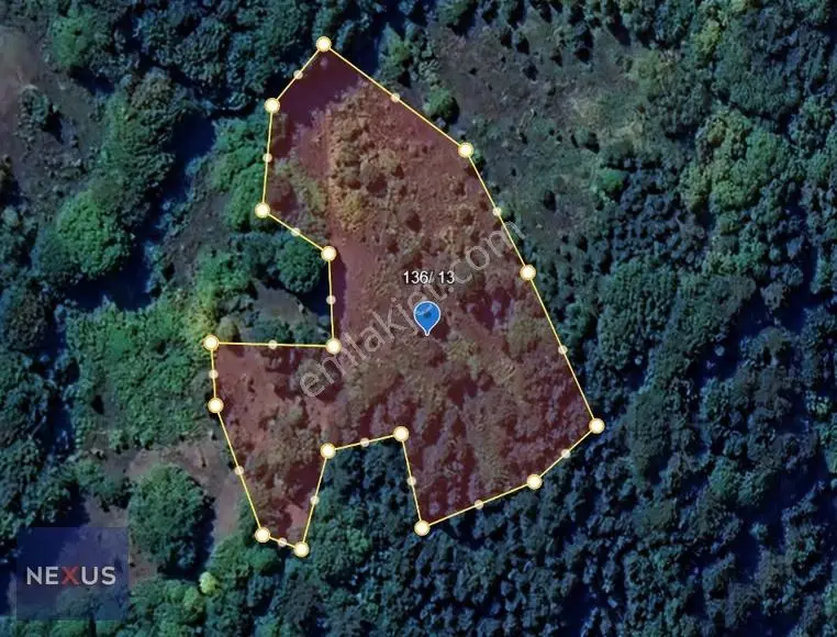 Bolu Mudurubnu Gökören Köyü 4.996,12 M² Satılık Tarla - Görsel 2