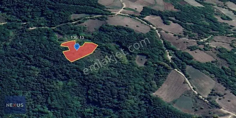Bolu Mudurubnu Gökören Köyü 4.996,12 M² Satılık Tarla - Görsel 4