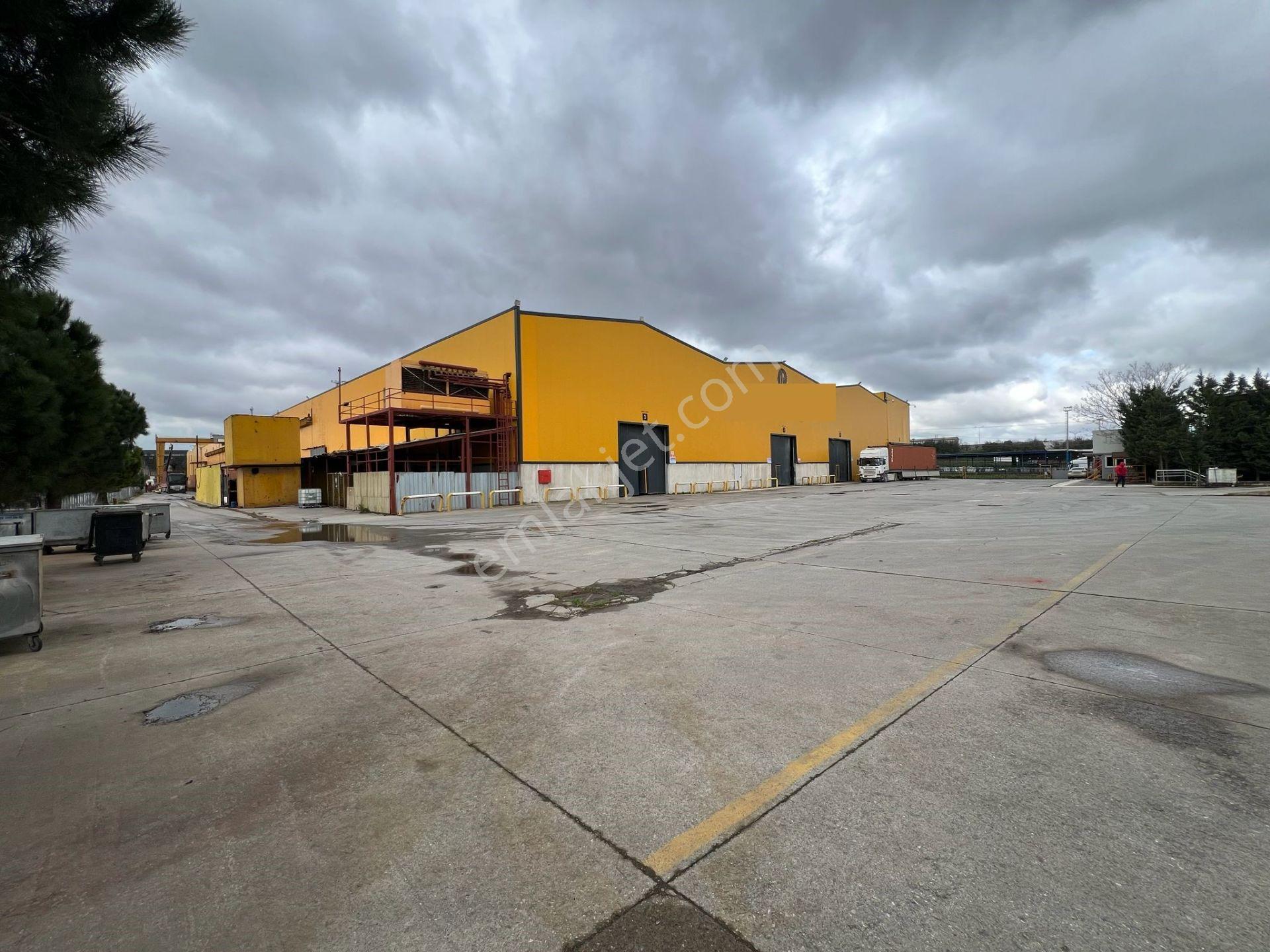 Gebze'de 17.000 M2+2000 Kwa+22 Adet Vinç+kdv'li Kiralık Fabrika&depo - Görsel 26