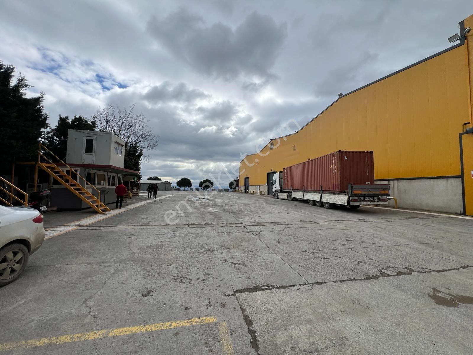 Gebze'de 17.000 M2+2000 Kwa+22 Adet Vinç+kdv'li Kiralık Fabrika&depo - Görsel 16