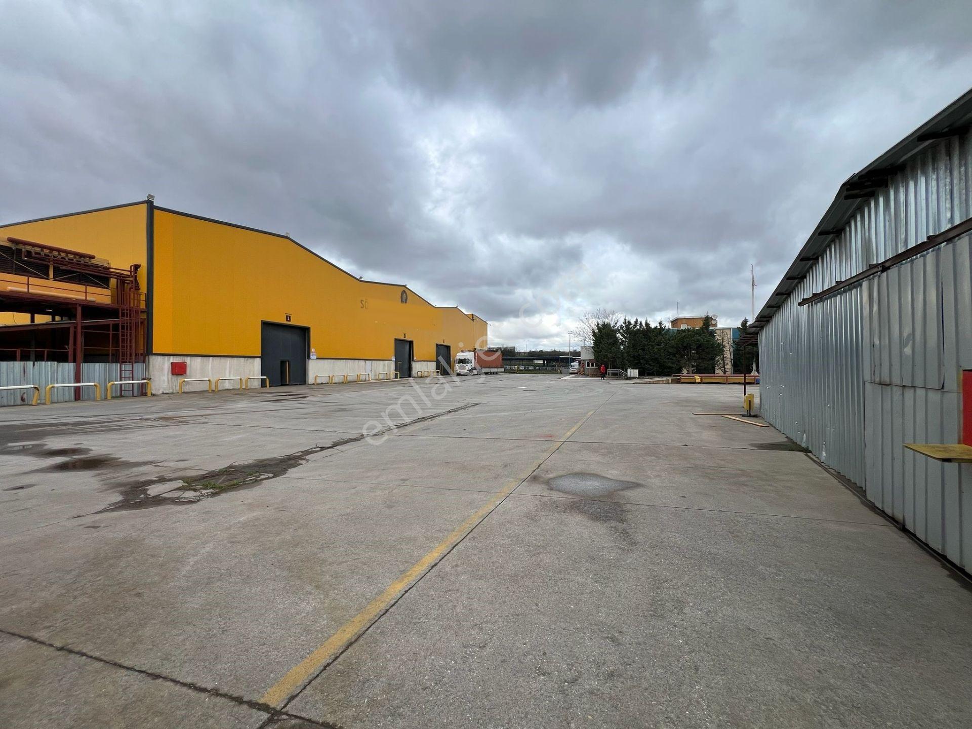 Gebze'de 17.000 M2+2000 Kwa+22 Adet Vinç+kdv'li Kiralık Fabrika&depo - Görsel 27