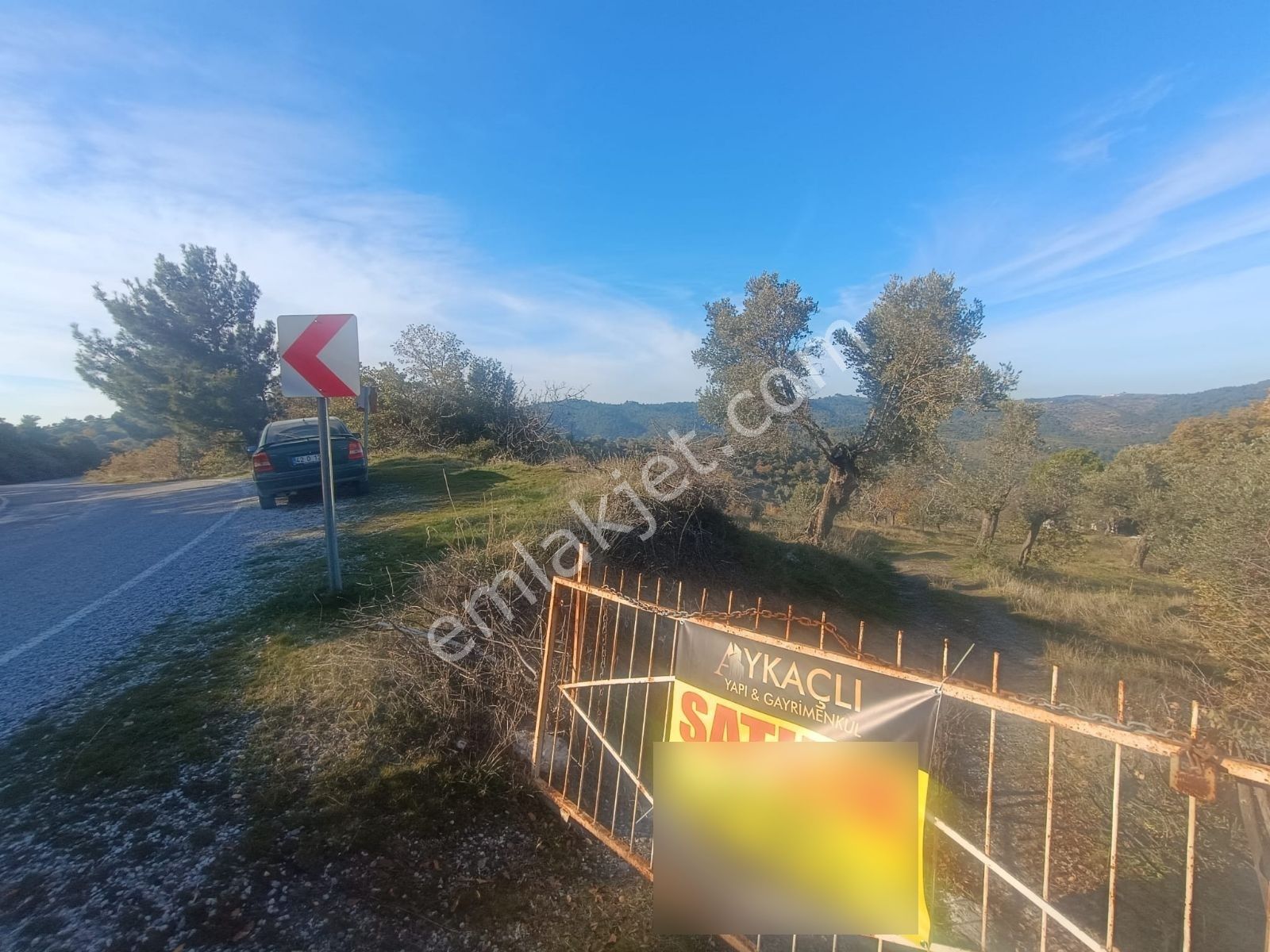 Seferihisar Beylerköyde Asfalta Cepheli 24 Dönüm Zeytinlik - Görsel 2