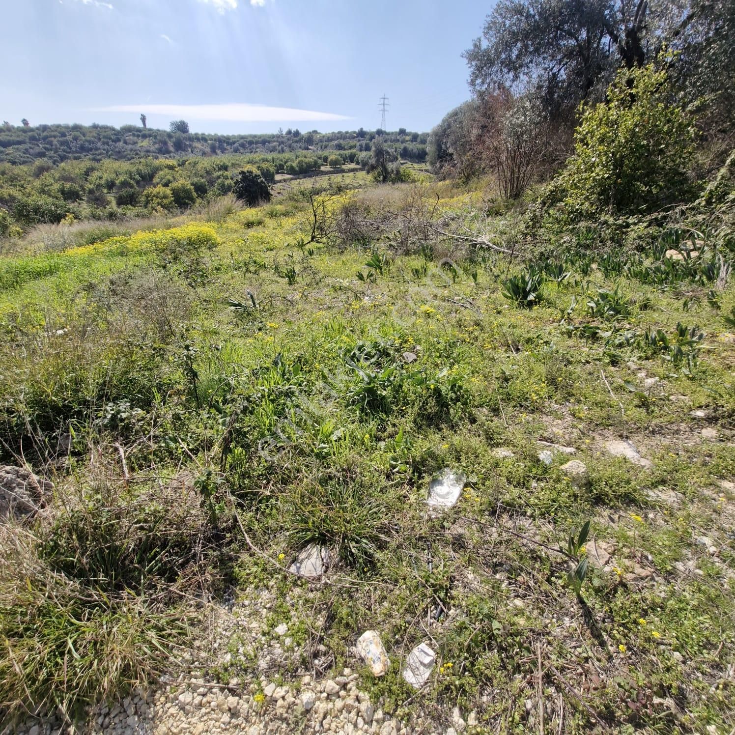 Aslan'dan Tece'de Kelepir Fiyata Satılık 570 M2 Hisse Tapu - Görsel 9