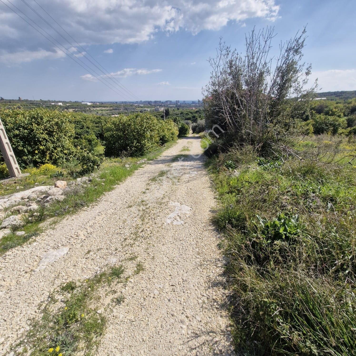 Aslan'dan Tece'de Kelepir Fiyata Satılık 570 M2 Hisse Tapu - Görsel 3