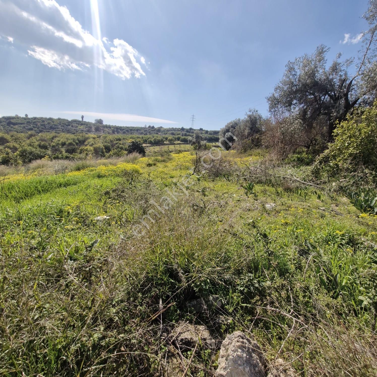 Aslan'dan Tece'de Kelepir Fiyata Satılık 570 M2 Hisse Tapu - Görsel 8