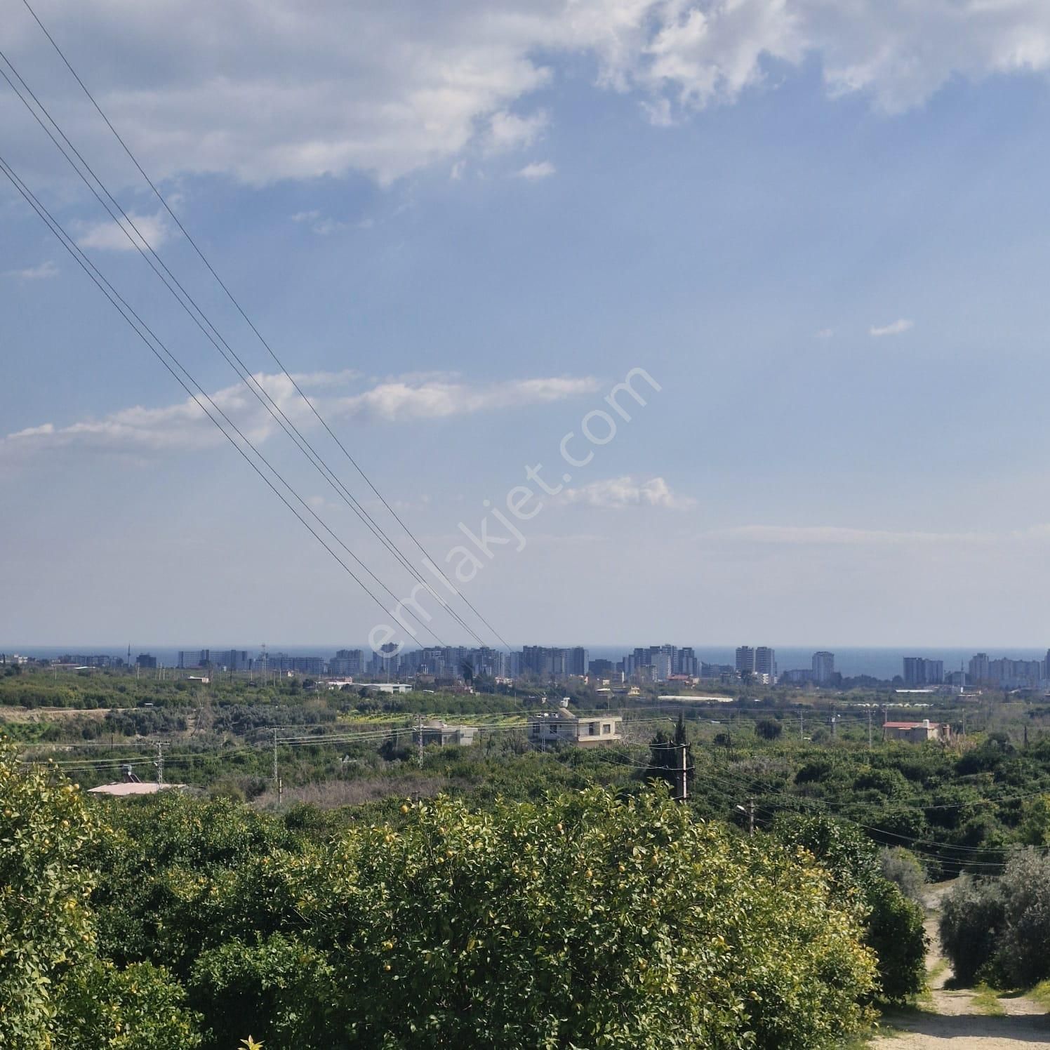 Aslan'dan Tece'de Kelepir Fiyata Satılık 570 M2 Hisse Tapu