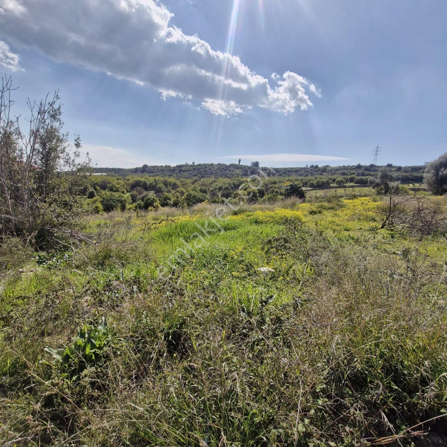 Aslan'dan Tece'de Kelepir Fiyata Satılık 570 M2 Hisse Tapu - Görsel 4